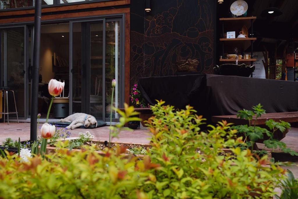 Earth Studios Gallerysuite Nelson Ngoại thất bức ảnh